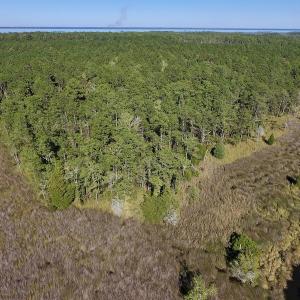 Photo #22 of SOLD property in Off Fulford Point Road , Lowland, NC 21.0 acres