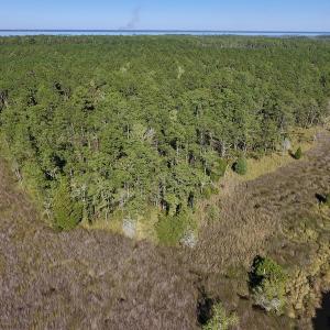 Photo #22 of SOLD property in Off Fulford Point Road , Lowland, NC 21.0 acres
