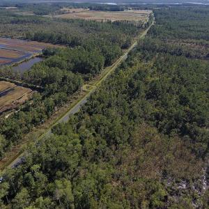 Photo #4 of SOLD property in Off Fulford Point Road , Lowland, NC 21.0 acres