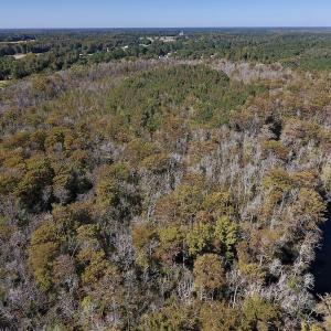Photo #11 of SOLD property in Off Highway 264 and Lillie Lane, Pactolus, NC 79.9 acres