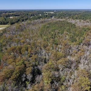 Photo #13 of SOLD property in Off Highway 264 and Lillie Lane, Pactolus, NC 79.9 acres