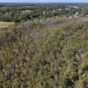 Photo #14 of SOLD property in Off Highway 264 and Lillie Lane, Pactolus, NC 79.9 acres
