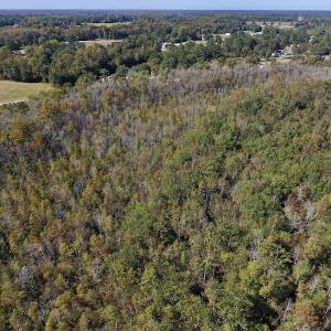 Photo #14 of SOLD property in Off Highway 264 and Lillie Lane, Pactolus, NC 79.9 acres