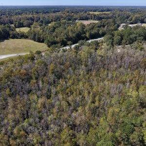 Photo #15 of SOLD property in Off Highway 264 and Lillie Lane, Pactolus, NC 79.9 acres