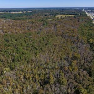 Photo #3 of SOLD property in Off Highway 264 and Lillie Lane, Pactolus, NC 79.9 acres
