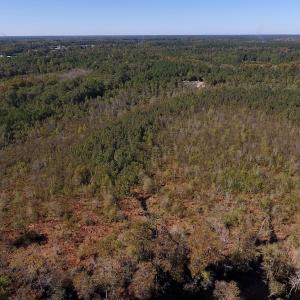 Photo #22 of SOLD property in Off Highway 264 and Lillie Lane, Pactolus, NC 79.9 acres