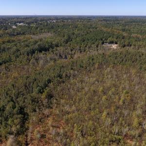 Photo #23 of SOLD property in Off Highway 264 and Lillie Lane, Pactolus, NC 79.9 acres