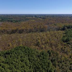 Photo #27 of SOLD property in Off Highway 264 and Lillie Lane, Pactolus, NC 79.9 acres