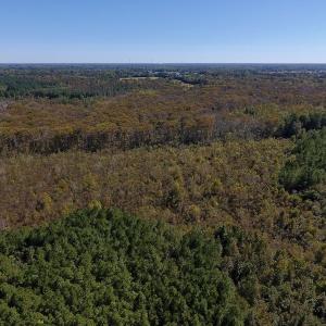 Photo #27 of SOLD property in Off Highway 264 and Lillie Lane, Pactolus, NC 79.9 acres