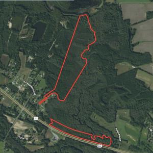 Photo #1 of SOLD property in Off Highway 264 and Lillie Lane, Pactolus, NC 79.9 acres