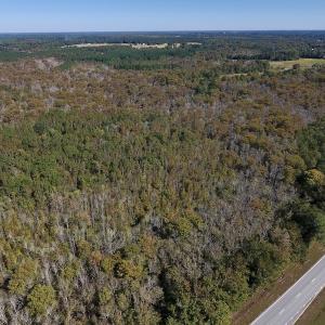 Photo #4 of SOLD property in Off Highway 264 and Lillie Lane, Pactolus, NC 79.9 acres