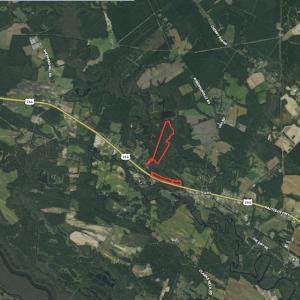 Photo #30 of SOLD property in Off Highway 264 and Lillie Lane, Pactolus, NC 79.9 acres