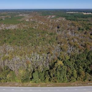 Photo #5 of SOLD property in Off Highway 264 and Lillie Lane, Pactolus, NC 79.9 acres