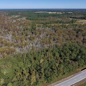 Photo #6 of SOLD property in Off Highway 264 and Lillie Lane, Pactolus, NC 79.9 acres