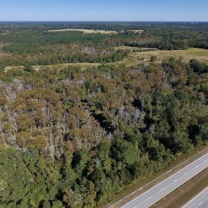 Photo #7 of SOLD property in Off Highway 264 and Lillie Lane, Pactolus, NC 79.9 acres