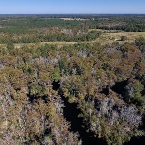 Photo #8 of SOLD property in Off Highway 264 and Lillie Lane, Pactolus, NC 79.9 acres