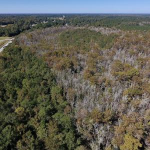Photo #10 of SOLD property in Off Highway 264 and Lillie Lane, Pactolus, NC 79.9 acres