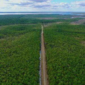 Photo #20 of SOLD property in Off Swindell Road, Scranton, NC 2,947.0 acres