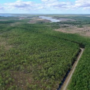 Photo #24 of SOLD property in Off Swindell Road, Scranton, NC 2,947.0 acres