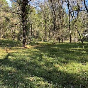 Photo #9 of SOLD property in Off Oliver Drive, Smithfield, VA 4.9 acres