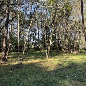 Photo #10 of SOLD property in Off Oliver Drive, Smithfield, VA 4.9 acres