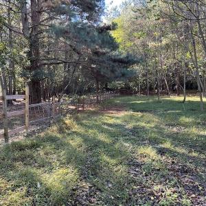 Photo #11 of SOLD property in Off Oliver Drive, Smithfield, VA 4.9 acres