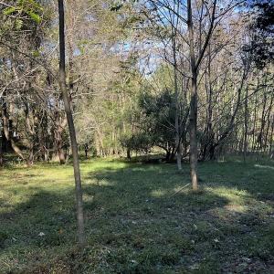 Photo #12 of SOLD property in Off Oliver Drive, Smithfield, VA 4.9 acres
