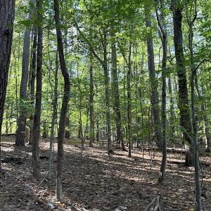 Photo #14 of SOLD property in Off Oliver Drive, Smithfield, VA 4.9 acres