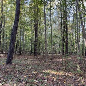 Photo #15 of SOLD property in Off Oliver Drive, Smithfield, VA 4.9 acres