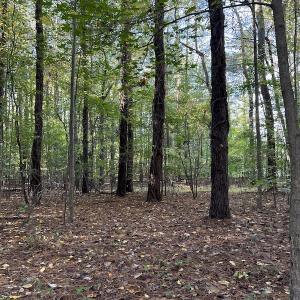 Photo #16 of SOLD property in Off Oliver Drive, Smithfield, VA 4.9 acres