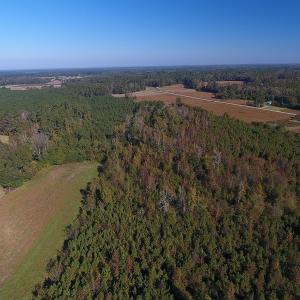 Photo #10 of SOLD property in Off Kemper Church Road, Lake View, SC 36.6 acres