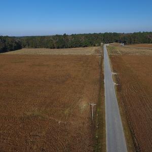 Photo #12 of SOLD property in Off Kemper Church Road, Lake View, SC 36.6 acres