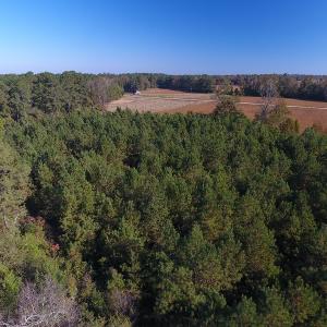 Photo #13 of SOLD property in Off Kemper Church Road, Lake View, SC 36.6 acres