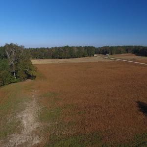 Photo #2 of SOLD property in Off Kemper Church Road, Lake View, SC 36.6 acres