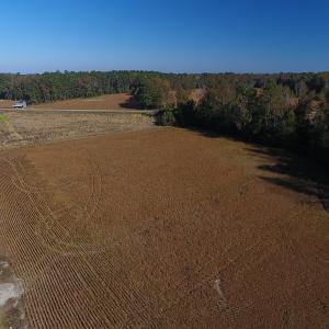 Photo #3 of SOLD property in Off Kemper Church Road, Lake View, SC 36.6 acres