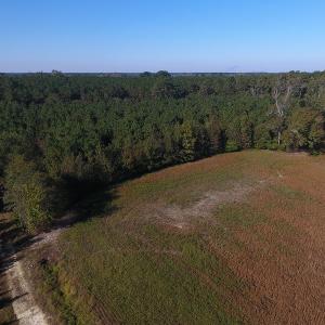 Photo #5 of SOLD property in Off Kemper Church Road, Lake View, SC 36.6 acres