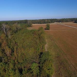 Photo #6 of SOLD property in Off Kemper Church Road, Lake View, SC 36.6 acres