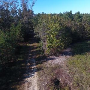 Photo #7 of SOLD property in Off Kemper Church Road, Lake View, SC 36.6 acres