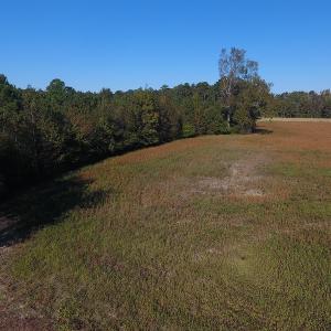 Photo #8 of SOLD property in Off Kemper Church Road, Lake View, SC 36.6 acres
