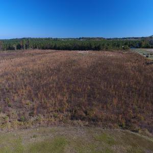 Photo #1 of Off Highway 41 South, Lake View, SC 76.4 acres