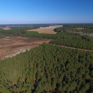 Photo #10 of Off Highway 41 South, Lake View, SC 76.4 acres