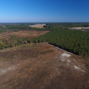 Photo #12 of Off Highway 41 South, Lake View, SC 76.4 acres