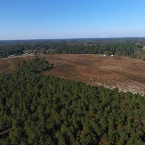 Photo #2 of Off Highway 41 South, Lake View, SC 76.4 acres
