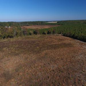 Photo #3 of Off Highway 41 South, Lake View, SC 76.4 acres