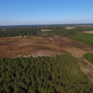 Photo #4 of Off Highway 41 South, Lake View, SC 76.4 acres