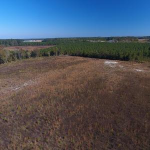Photo #5 of Off Highway 41 South, Lake View, SC 76.4 acres