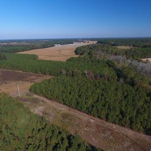 Photo #7 of Off Highway 41 South, Lake View, SC 76.4 acres