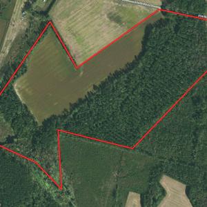 Photo #1 of SOLD property in Off Dallas Road, Lumberton, NC 98.3 acres