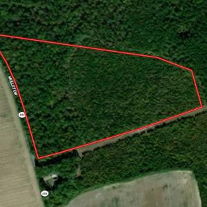 Photo #1 of SOLD property in Off Mullet Drive, Ivor, VA 25.5 acres