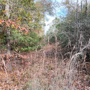 Photo #13 of SOLD property in Off Mullet Drive, Ivor, VA 25.5 acres